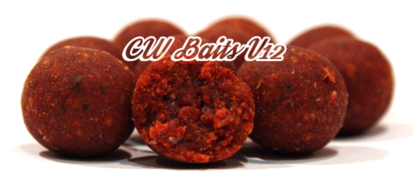 v12 boilies v12 boilies