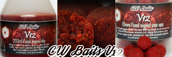 V12 freezer boilies V12 freezer boilies